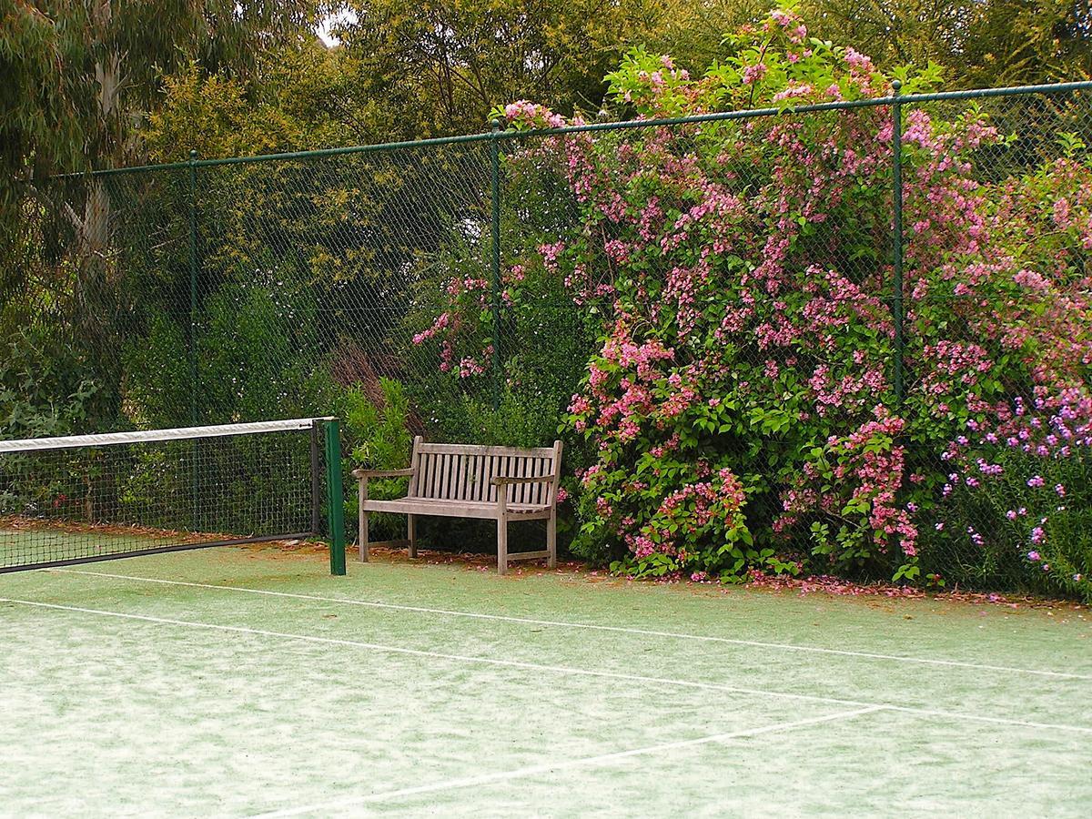 לורן Lemonade Creek Cottages מראה חיצוני תמונה