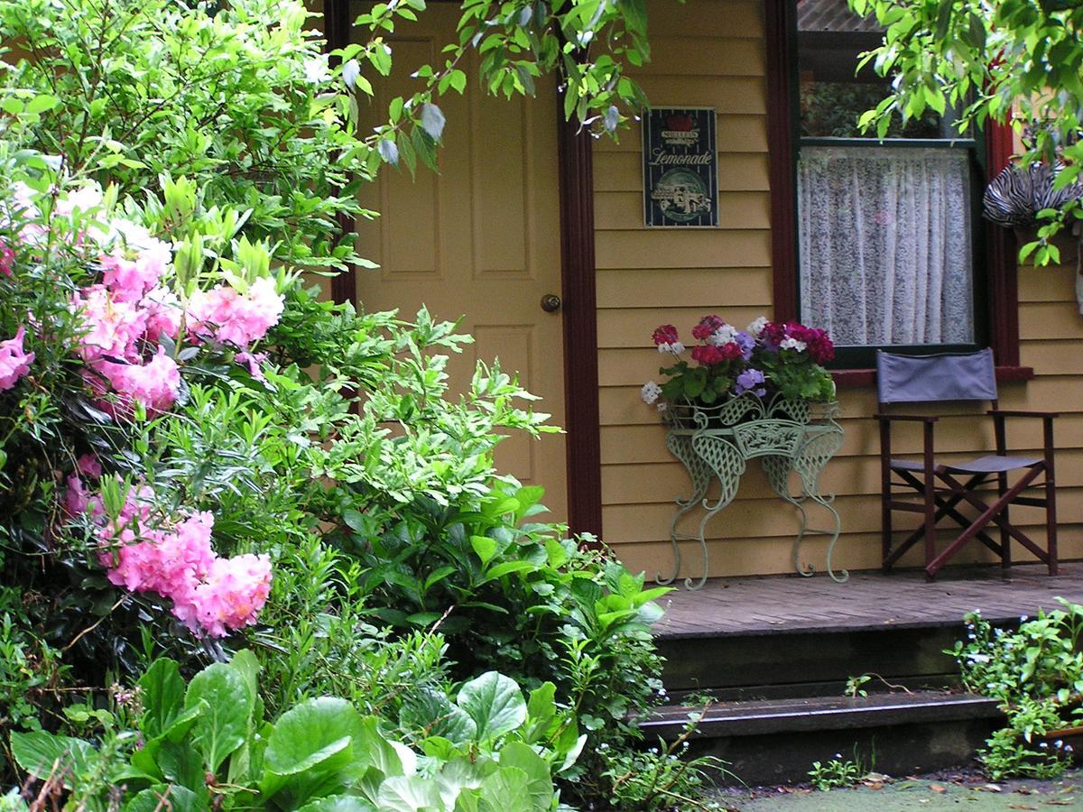 לורן Lemonade Creek Cottages מראה חיצוני תמונה