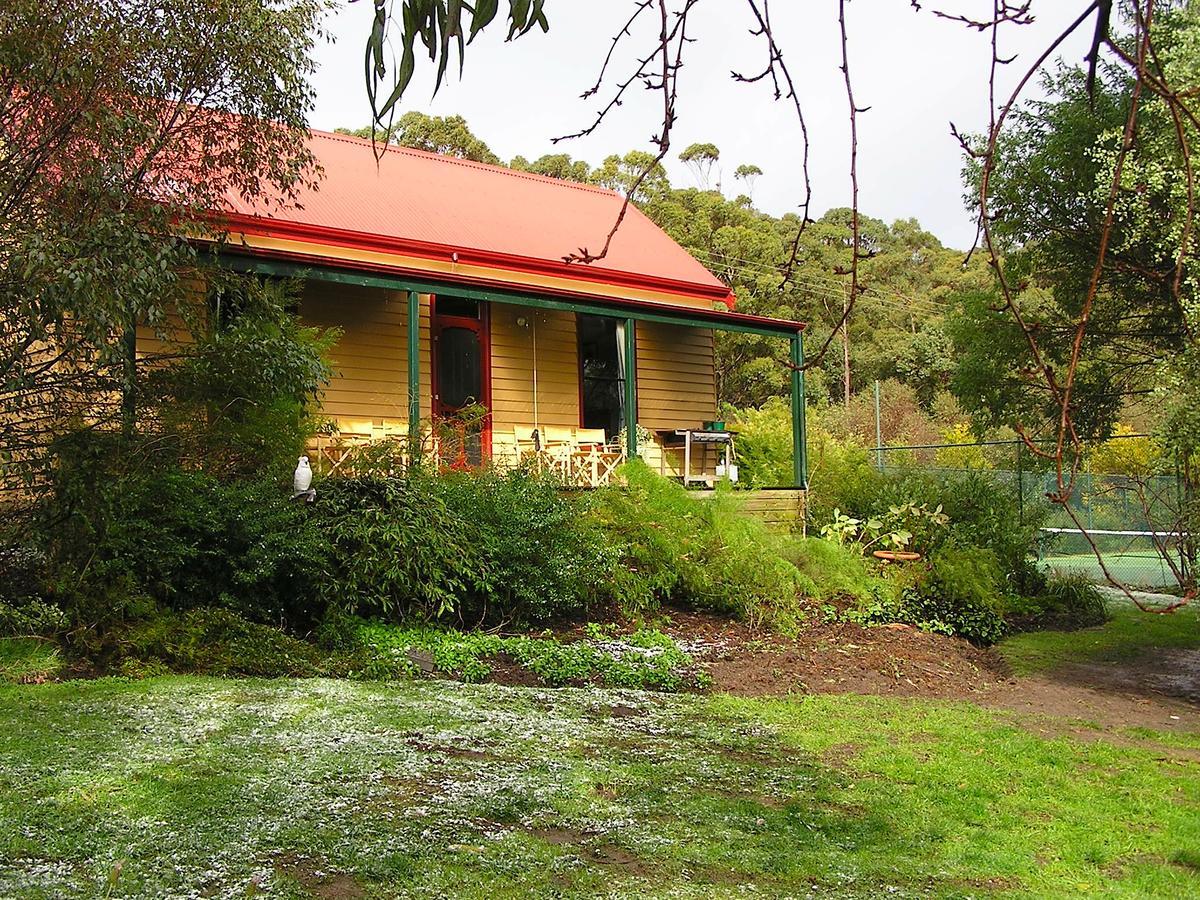 לורן Lemonade Creek Cottages מראה חיצוני תמונה