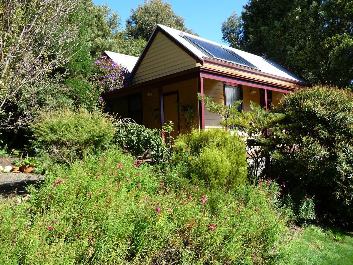 לורן Lemonade Creek Cottages מראה חיצוני תמונה