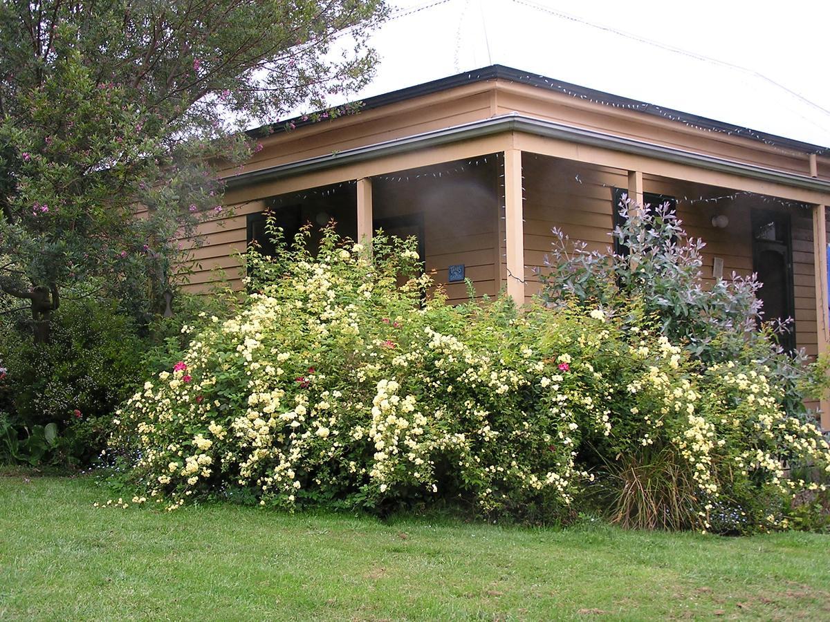 לורן Lemonade Creek Cottages מראה חיצוני תמונה